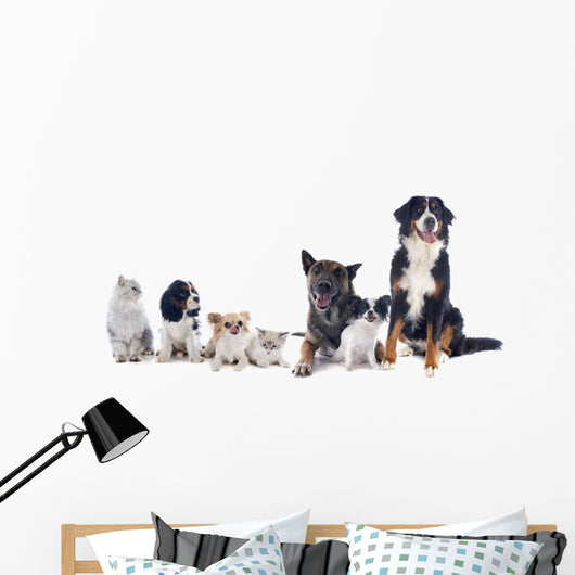 Dogs and Cats Wall Decal