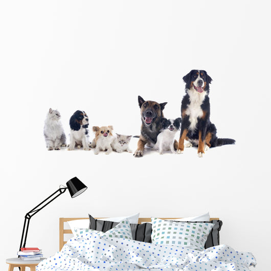 Dogs and Cats Wall Decal