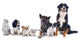 Dogs and Cats Wall Decal