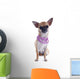 Puppy Chihuahua and Collar Wall Decal