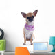 Puppy Chihuahua and Collar Wall Decal