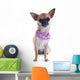 Puppy Chihuahua and Collar Wall Decal