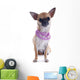 Puppy Chihuahua and Collar Wall Decal