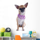 Puppy Chihuahua and Collar Wall Decal