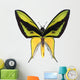 Birdwing Wall Decal