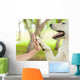 Give Me Five Dog Wall Decal