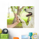Give Me Five Dog Wall Decal