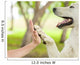 Give Me Five Dog Wall Decal