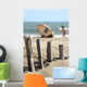 Ganivelles Protection Beaches and Wall Decal