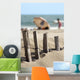 Ganivelles Protection Beaches and Wall Decal