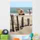 Ganivelles Protection Beaches and Wall Decal