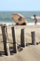 Ganivelles Protection Beaches and Wall Decal