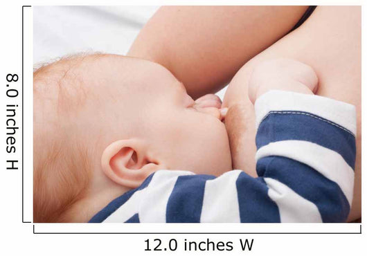 Breast Feeding Wall Decal