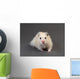 Fluffy Hamster Grey Wall Decal