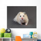Fluffy Hamster Grey Wall Decal
