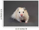 Fluffy Hamster Grey Wall Decal