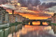 Florence Wall Decal