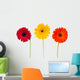 Three Daisy Herbera Flowers Wall Decal