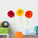 Three Daisy Herbera Flowers Wall Decal
