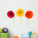 Three Daisy Herbera Flowers Wall Decal