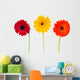 Three Daisy Herbera Flowers Wall Decal