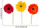 Three Daisy Herbera Flowers Wall Decal