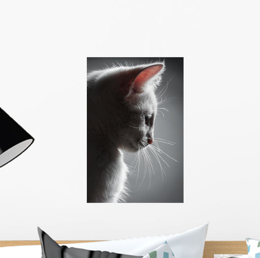 Portrait White Kitten Wall Decal