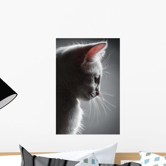 Portrait White Kitten Wall Decal