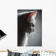 Portrait White Kitten Wall Decal