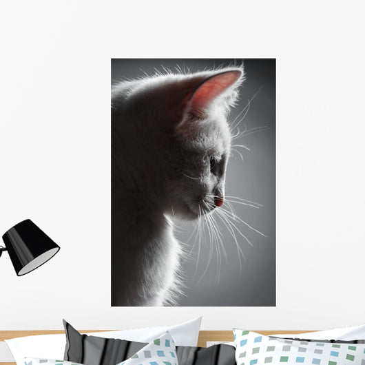 Portrait White Kitten Wall Decal