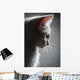 Portrait White Kitten Wall Decal