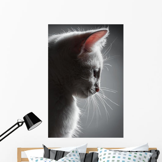 Portrait White Kitten Wall Decal