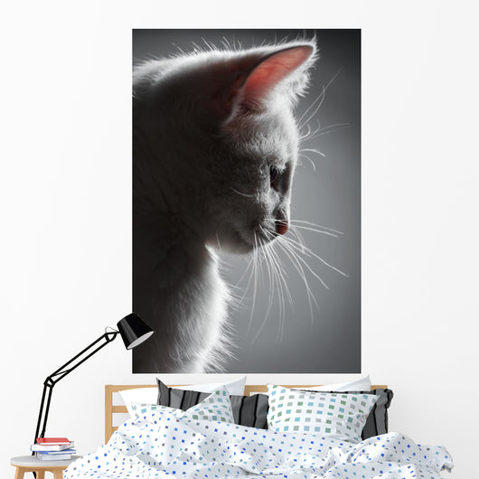 Portrait White Kitten Wall Decal