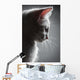 Portrait White Kitten Wall Decal