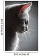 Portrait White Kitten Wall Decal