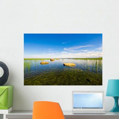 Bog Landscape Wall Decal shown on a wall