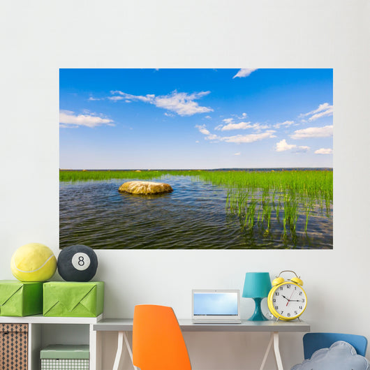 Marsh Landscape Wall Decal