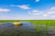 Marsh Landscape Wall Decal