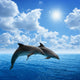Dolphins Jumping Wall Decal