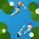 Koi Fish and Lotus Wall Decal