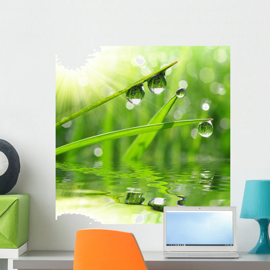 Fresh Grass with Dew Wall Decal