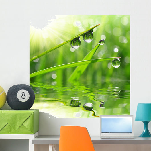 Fresh Grass with Dew Wall Decal