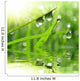Fresh Grass with Dew Wall Decal