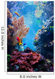 Underwater Coral Scene Wall Decal