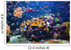 Underwater Scene with Fish Wall Decal