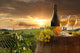 White Wine with Barrel in Vineyard Wall Decal