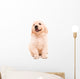 Sitting Golden Retriever Puppy Wall Decal