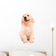 Sitting Golden Retriever Puppy Wall Decal
