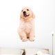 Sitting Golden Retriever Puppy Wall Decal