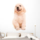 Sitting Golden Retriever Puppy Wall Decal